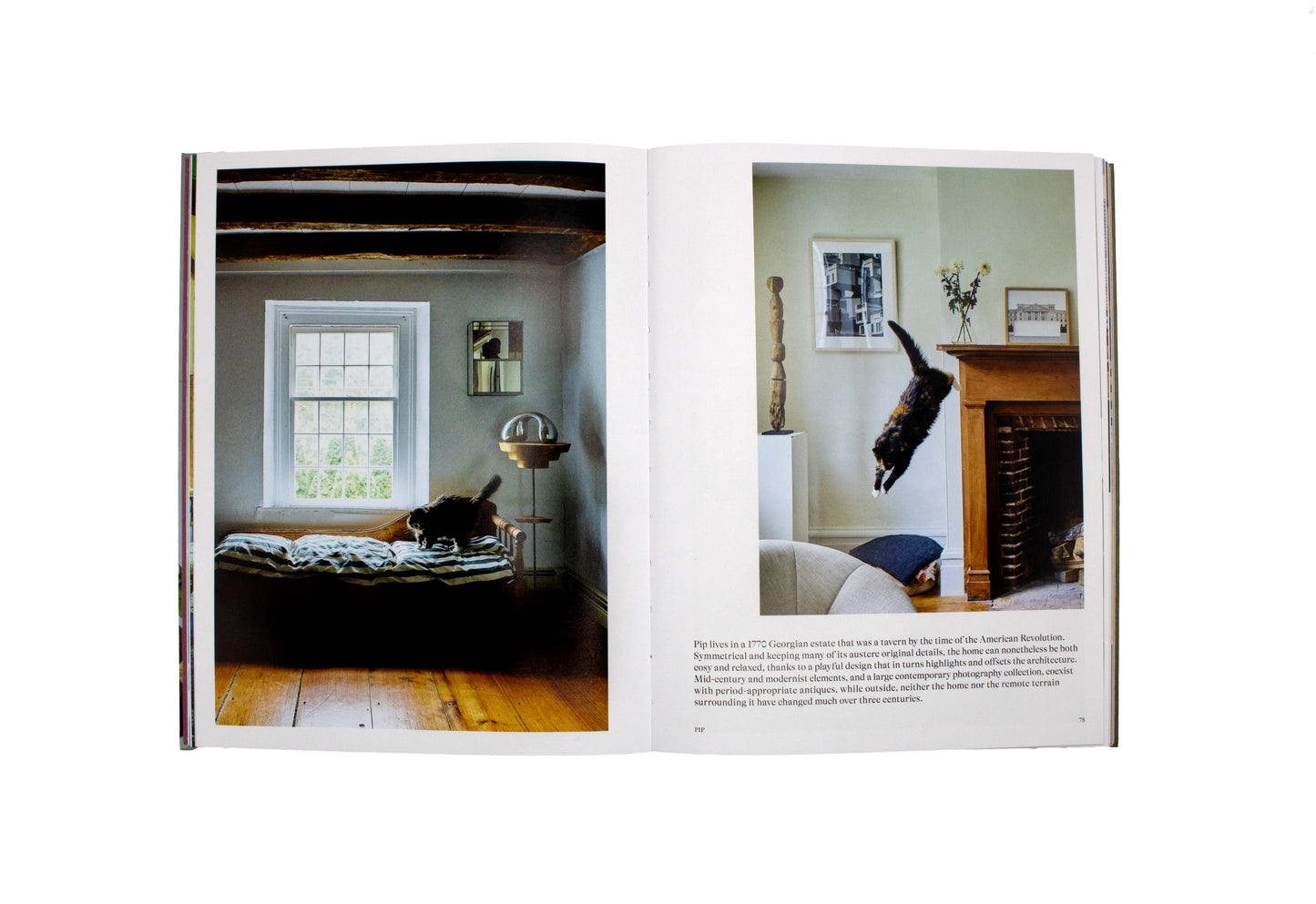 House Cat: Inspirational Interiors and the Elegant Felines Who Call Them Home