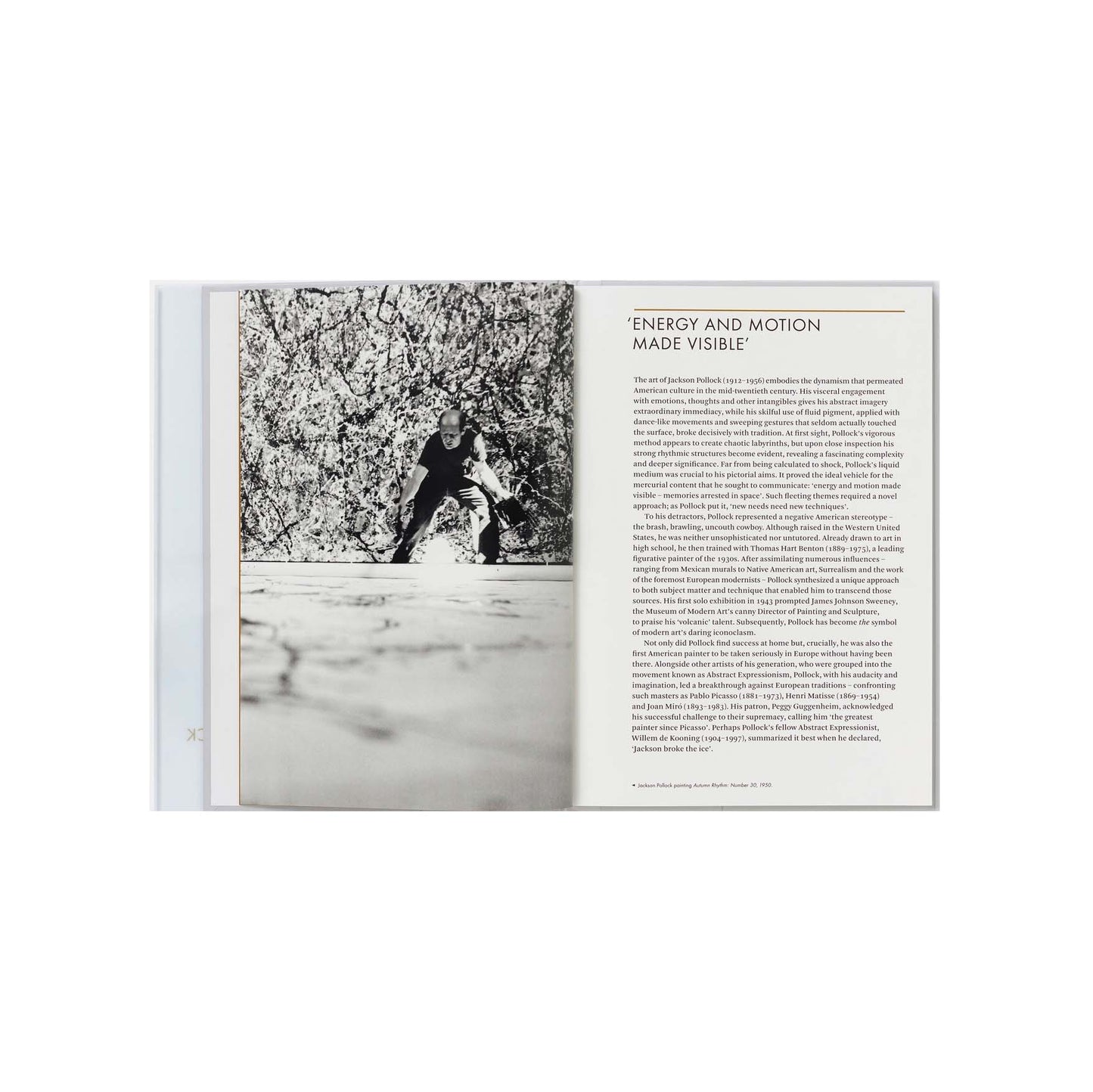 Jackson Pollock, Phaidon Focus Series