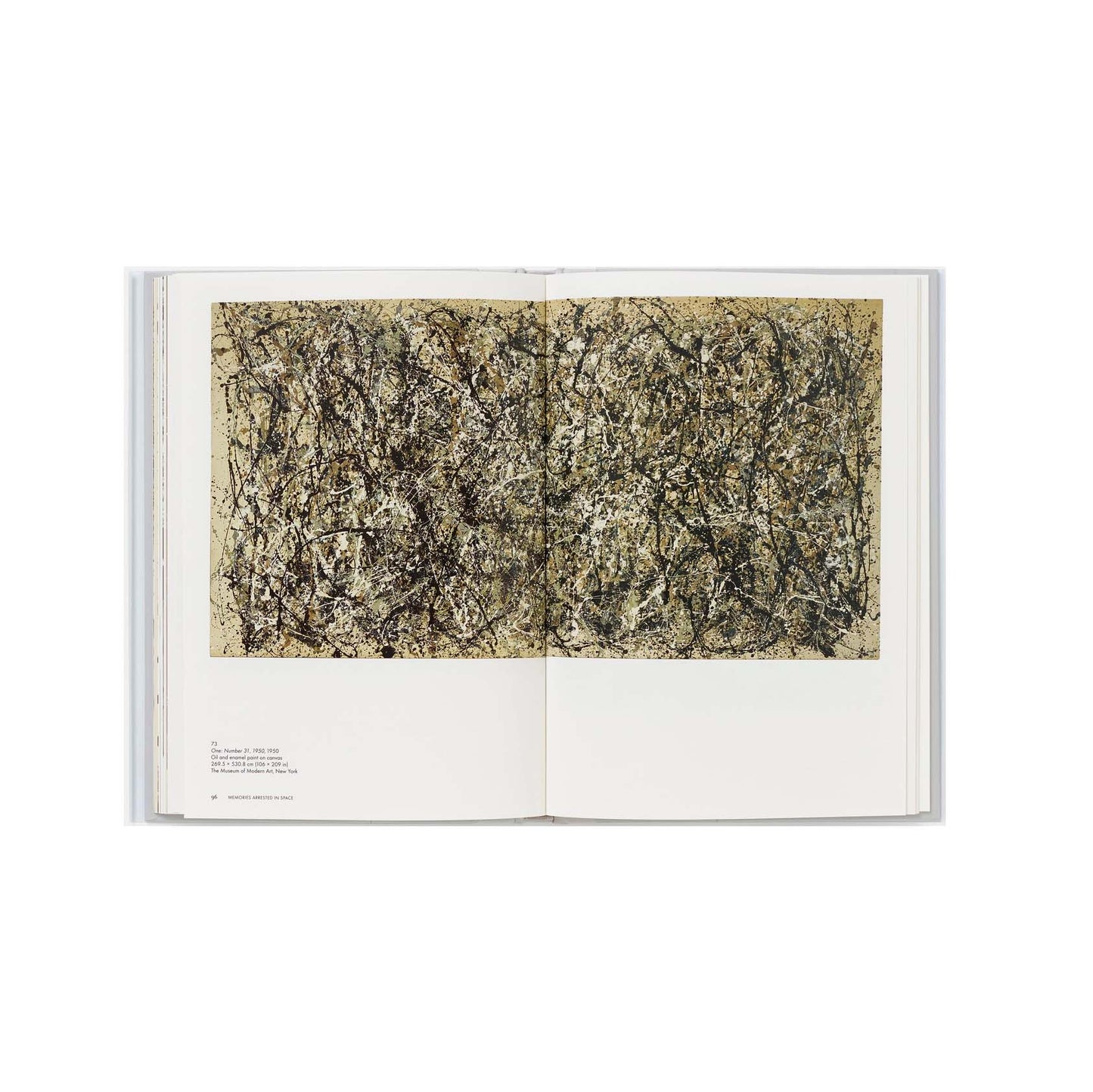 Jackson Pollock, Phaidon Focus Series