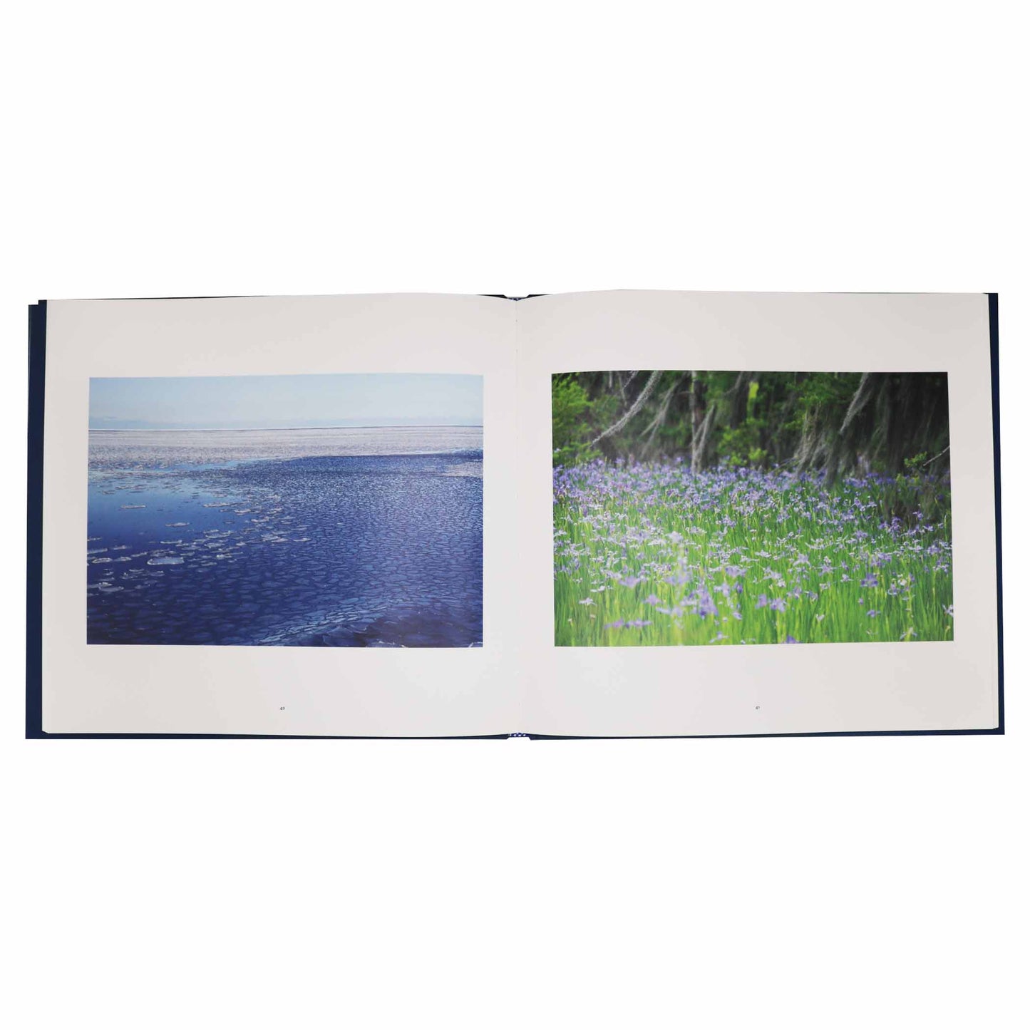Tina Freeman: Lamentations