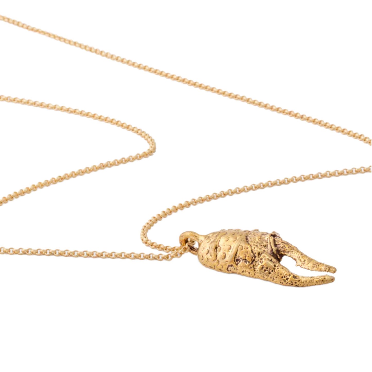 Grand Claw Necklace
