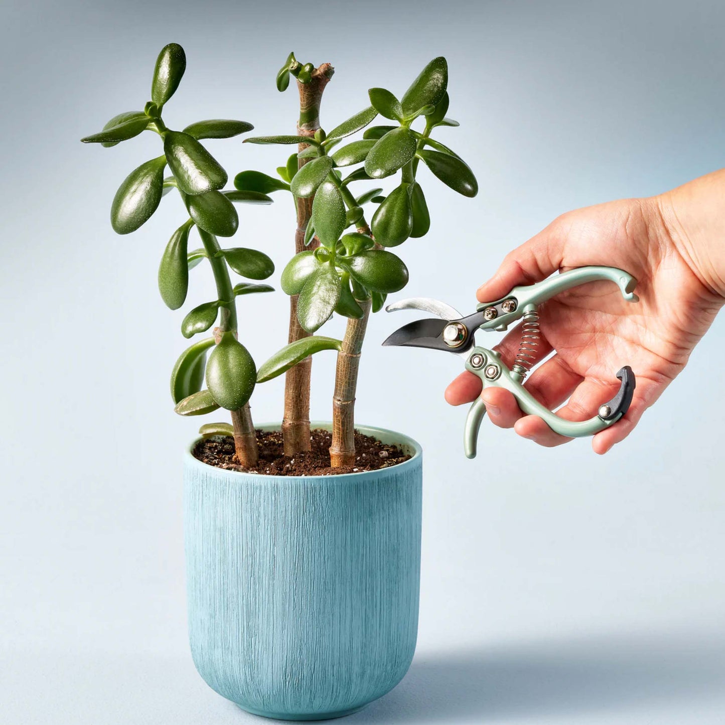 Gardening Shears and Pruners