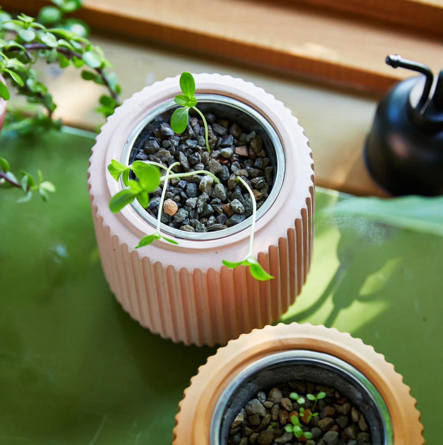 Flower Grow Kit
