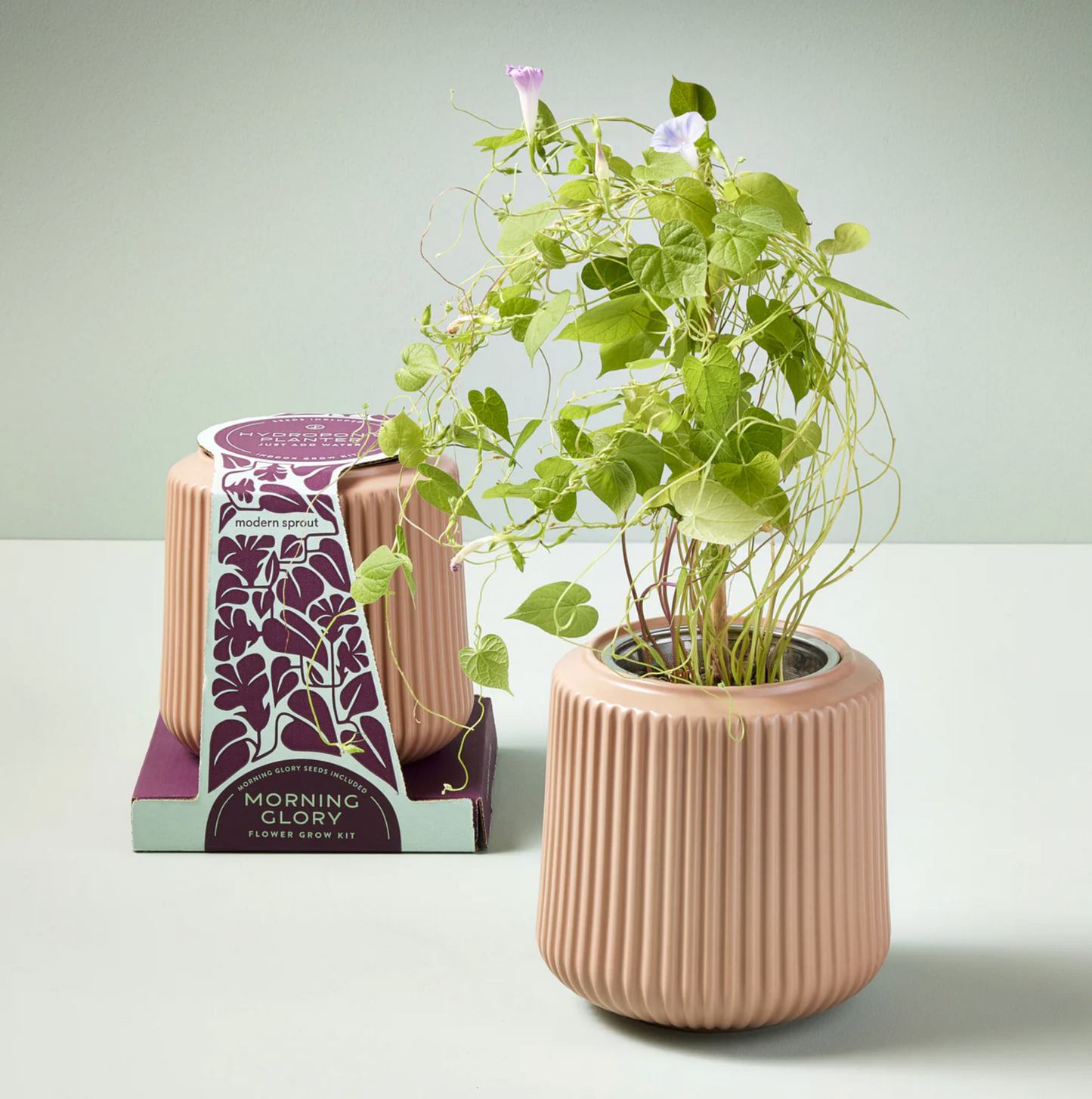 Flower Grow Kit