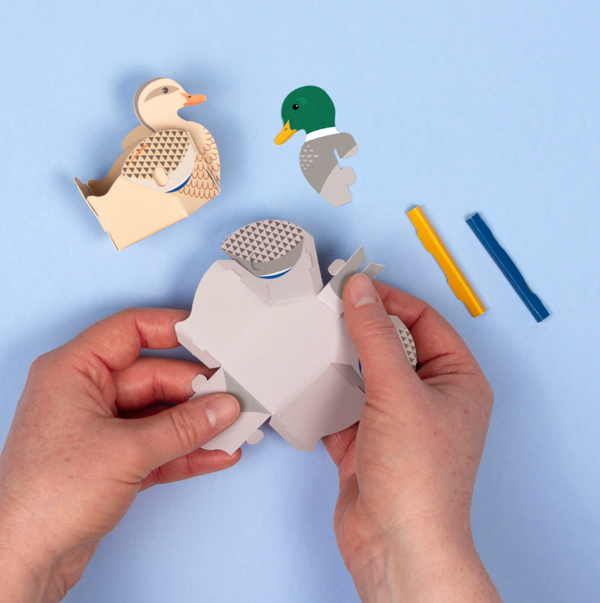 Make Your Own Blow Ducks