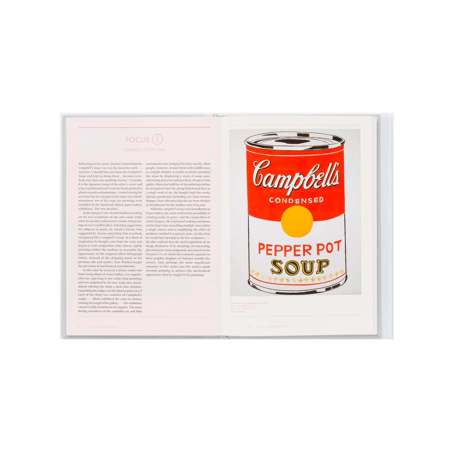 Andy Warhol, Phaidon Focus Series