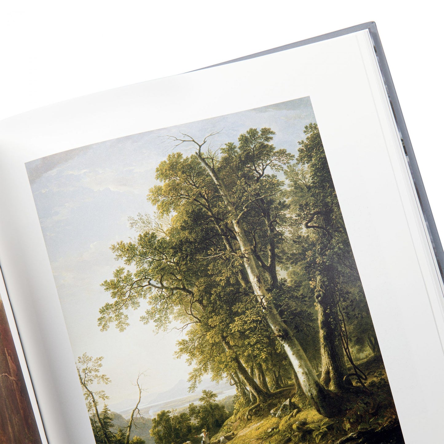 Inventing Acadia: Painting and Place in Louisiana
