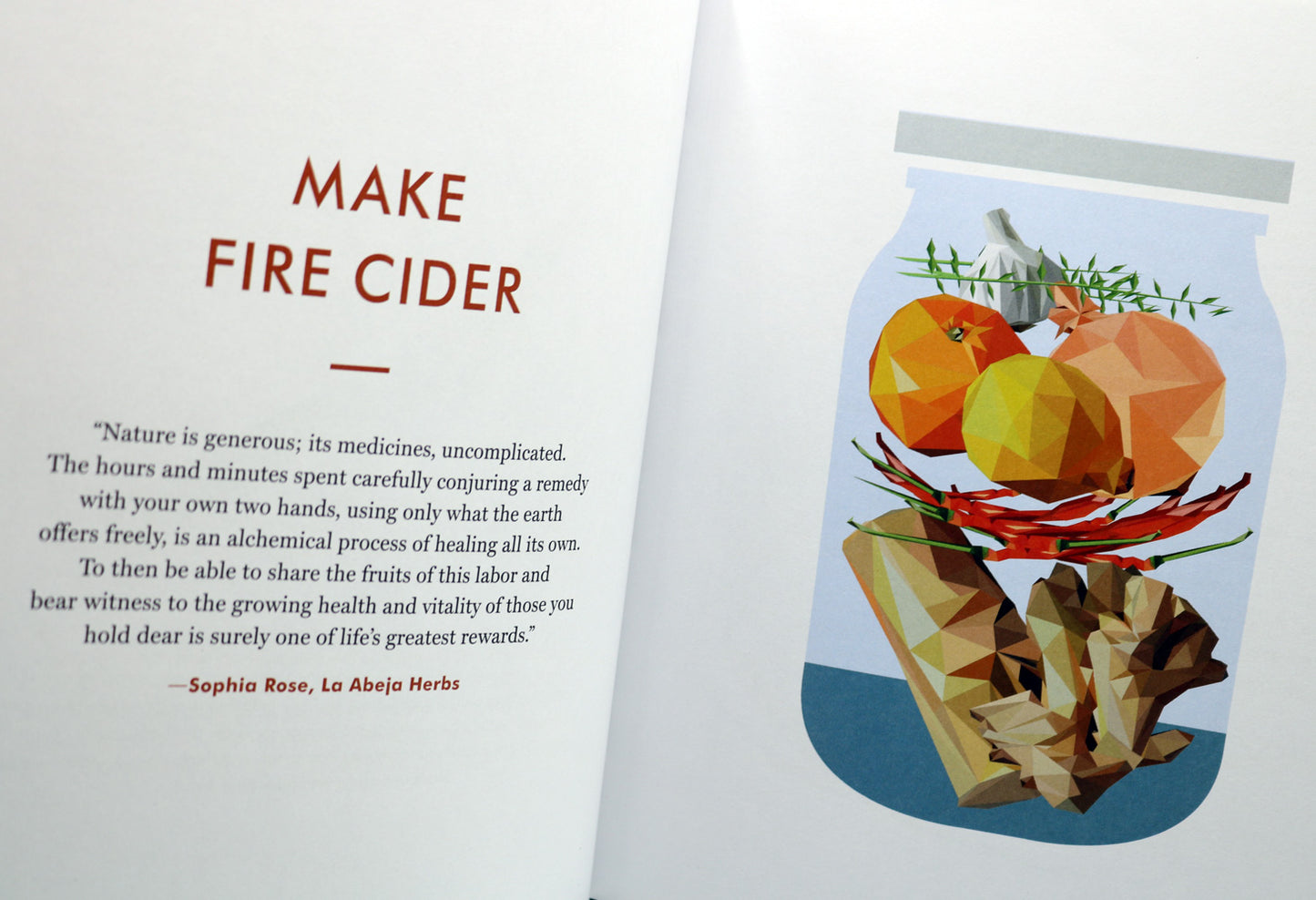 The Kaufmann Mercantile Guide: How to Split Wood, Shuck an Oyster and Master Other Simple Pleasures