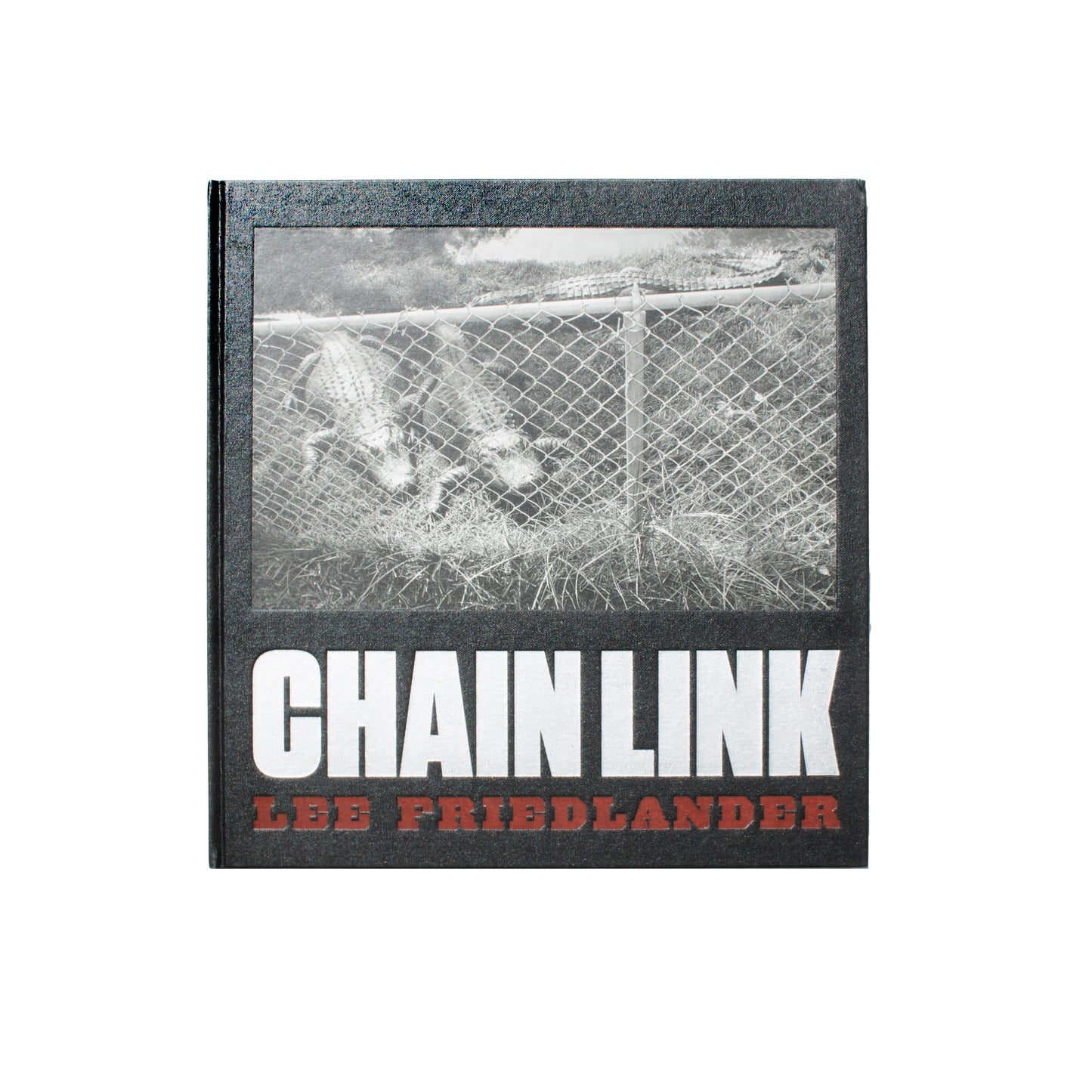 Lee Friedlander: Chain Link