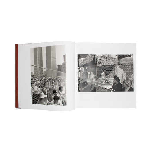 Lee Friedlander: Chain Link