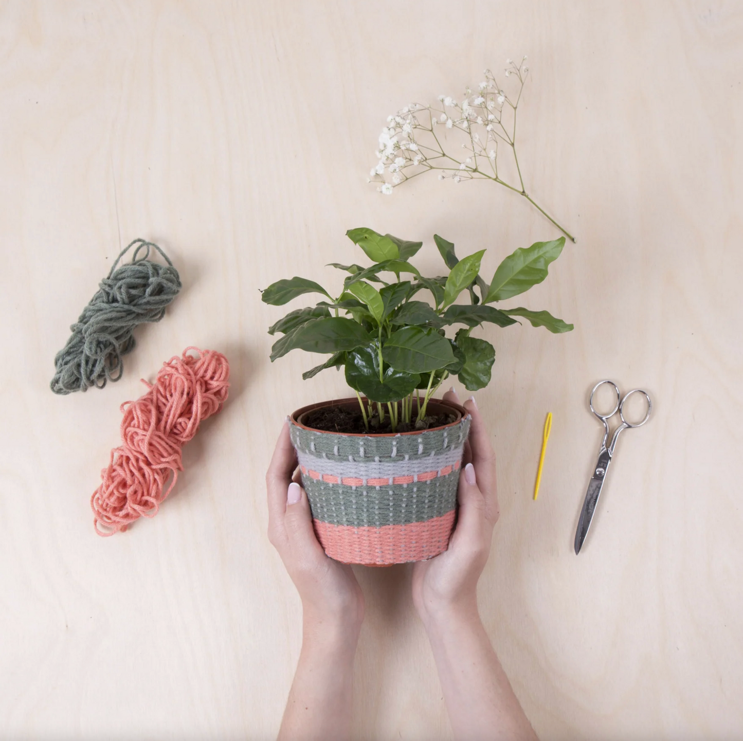 Knit Your Own Plant Cover Kit