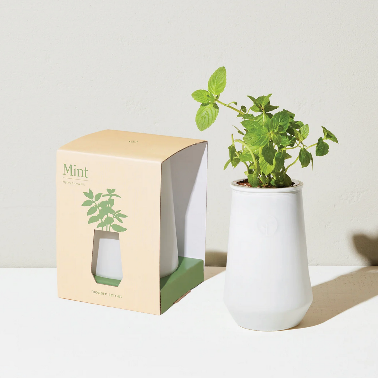 Mint Hydro Grow Kit