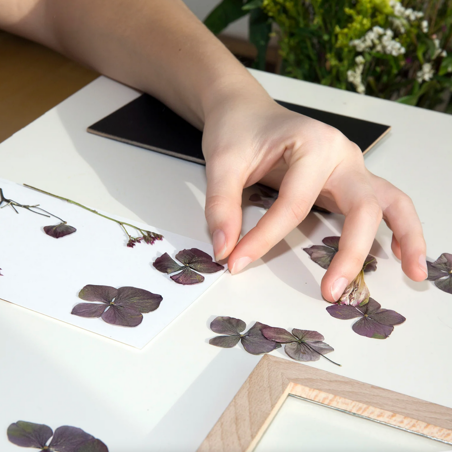Make Your Own Pressed Flower Frame Art