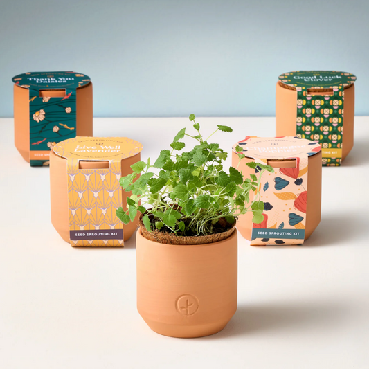 Tiny Terracotta Grow Kit