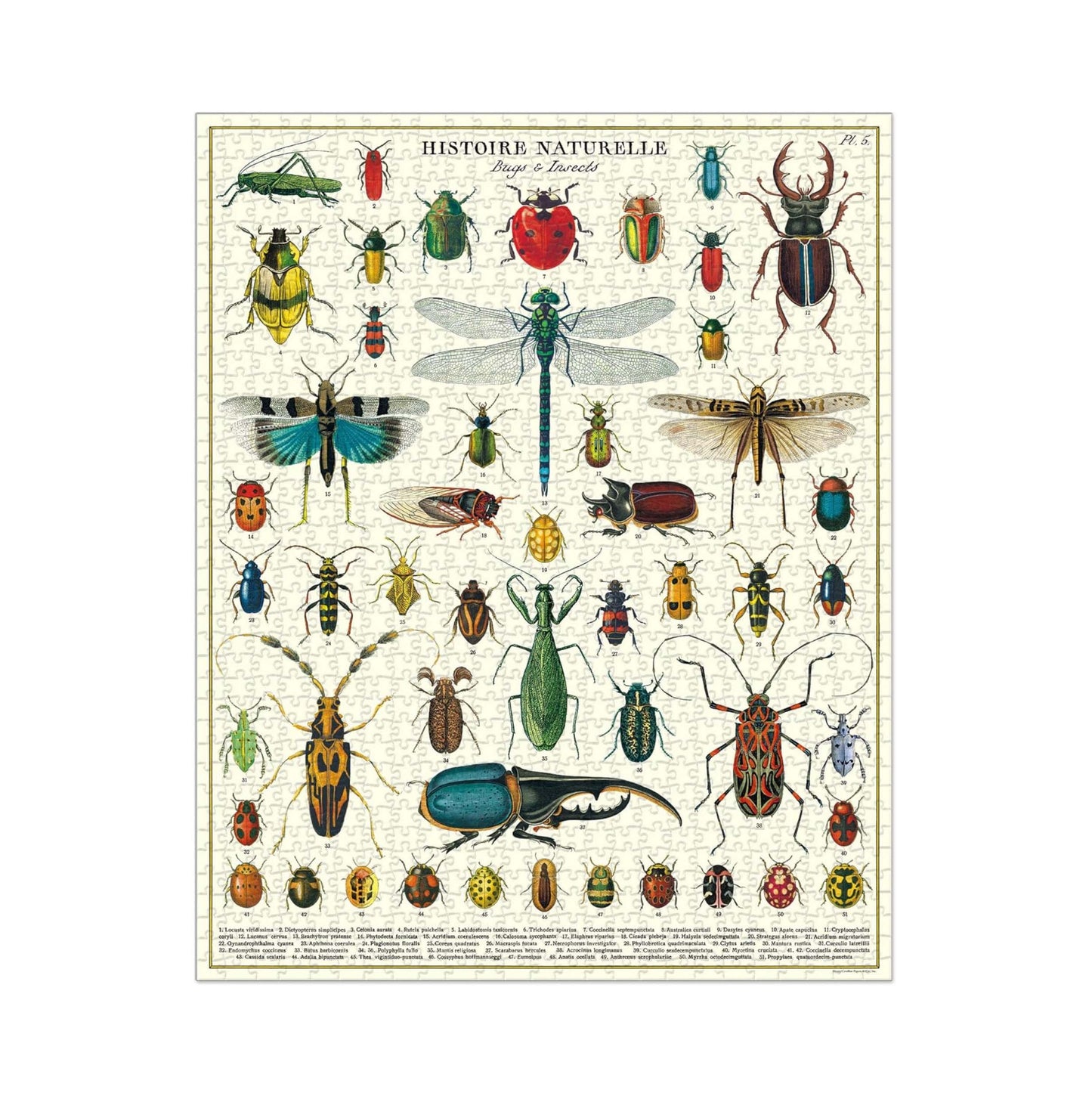 Bugs & Insects Vintage Puzzle