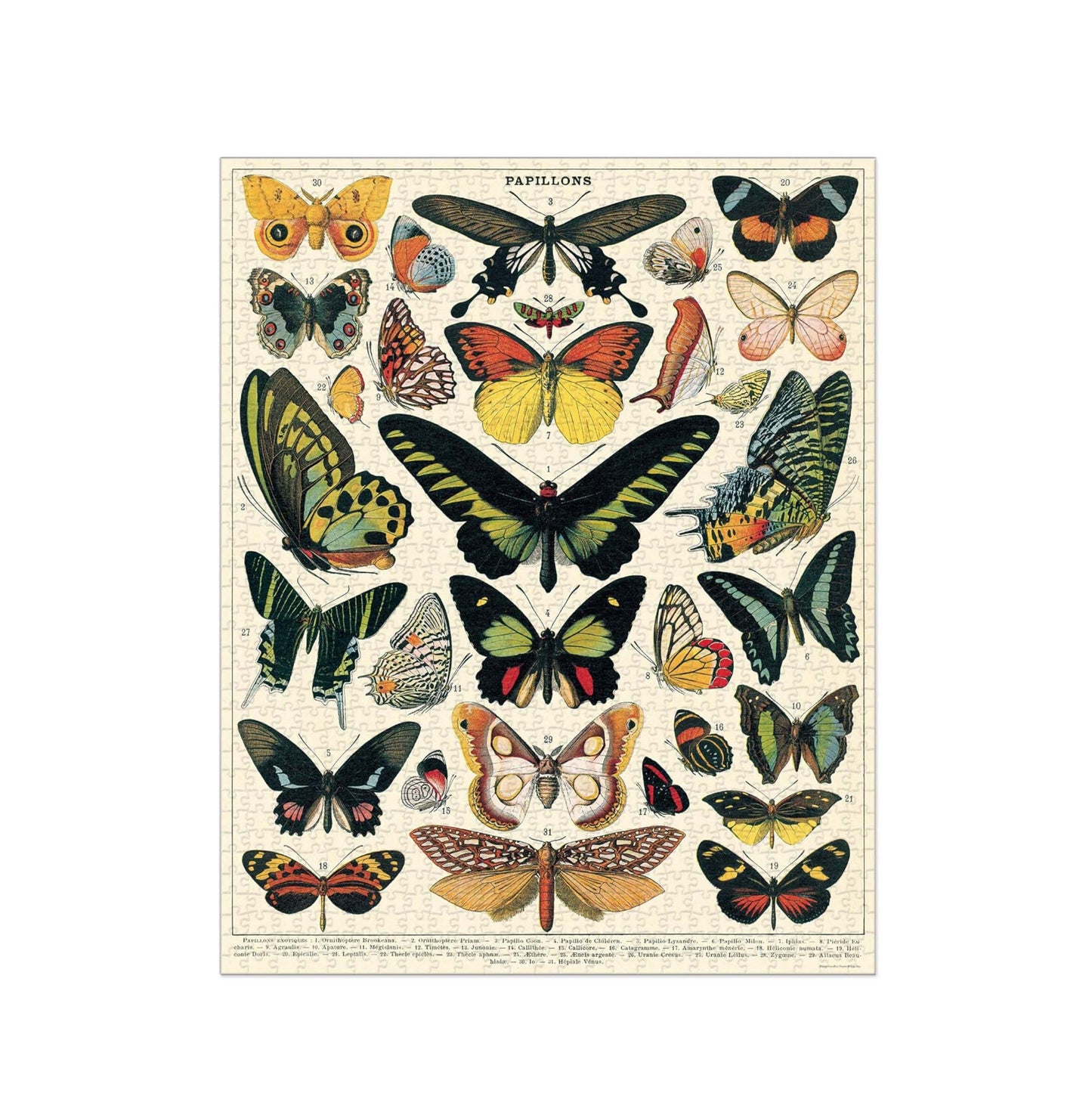 Butterflies Vintage Puzzle