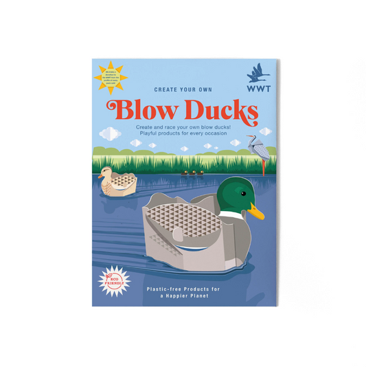 Make Your Own Blow Ducks