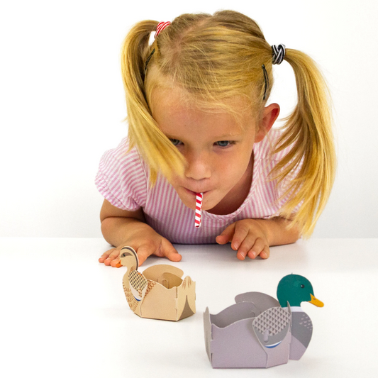 Make Your Own Blow Ducks