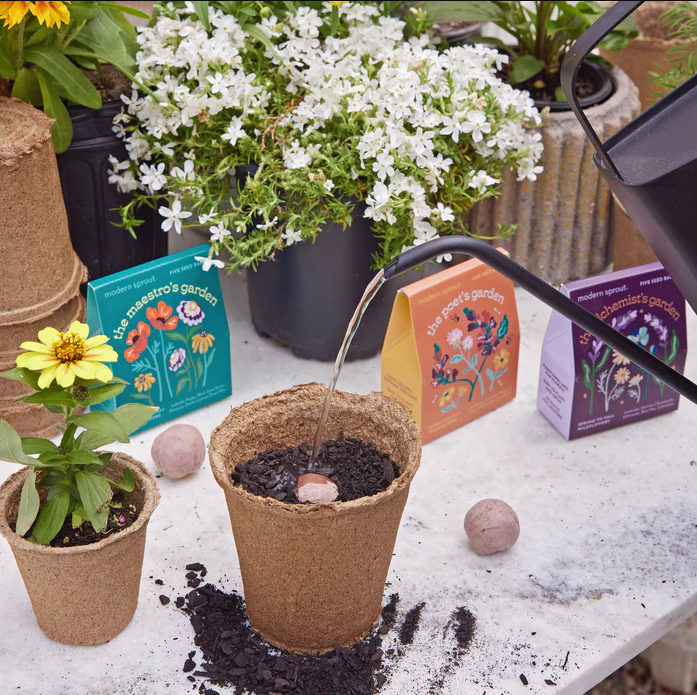 Bespoke Blooms Kit