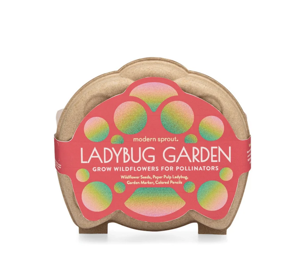 Curious Critters Ladybug Garden