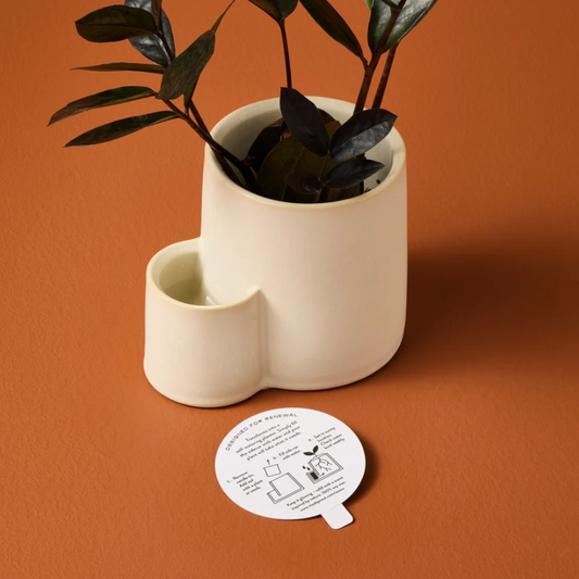 Pollination Ember Earth Candle Planter