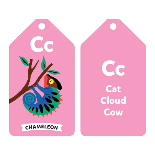 Wildlife ABC Flashcards