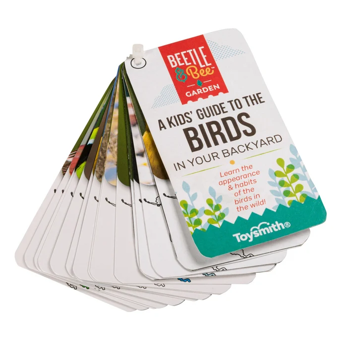 Beetle and Bee Little Birder Set
