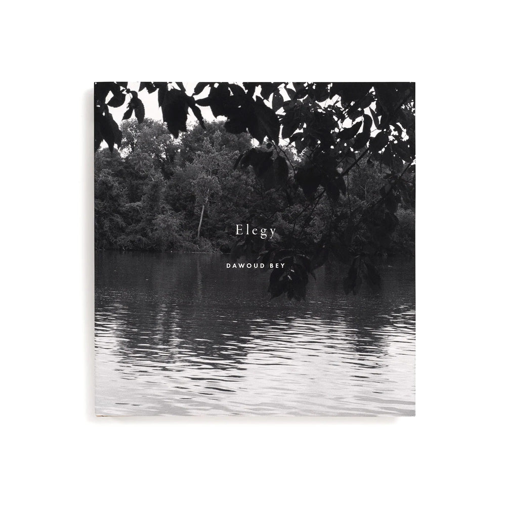 Dawoud Bey: Elegy