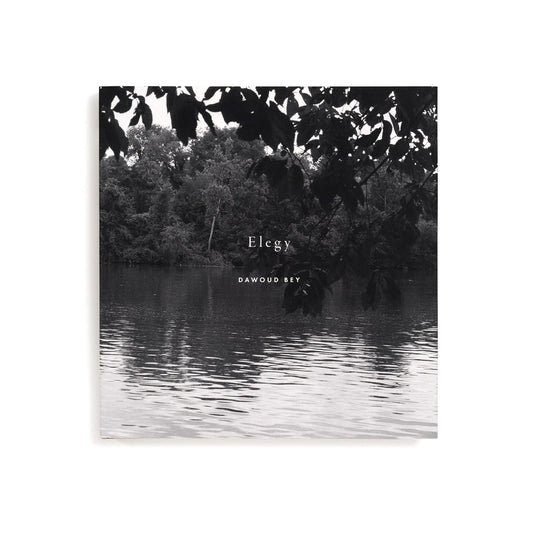 Dawoud Bey: Elegy