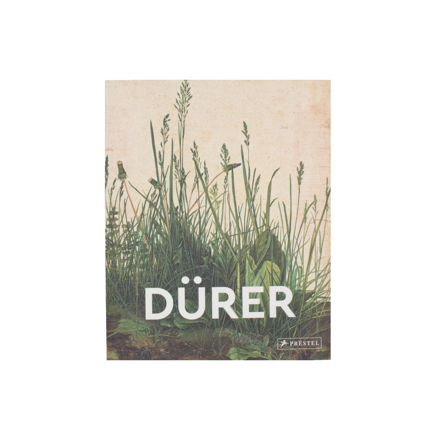 Dürer: Masters of Art