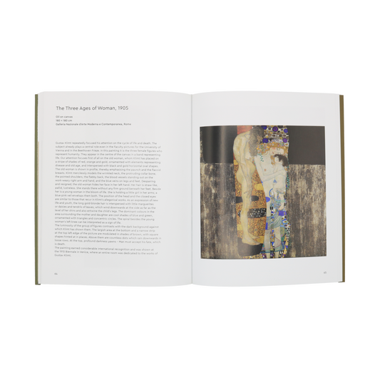 Klimt: Masters of Art