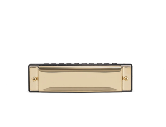 Make Your Own Harmonica