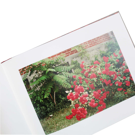 William Eggleston: Flowers