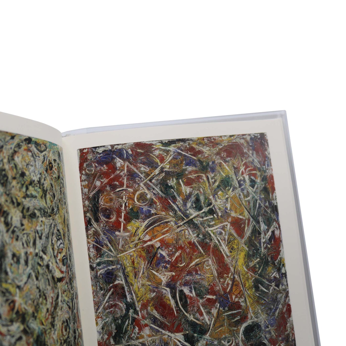 Jackson Pollock (Phaidon)