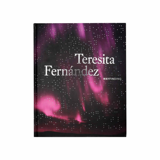 Teresita Fernández: Wayfinding