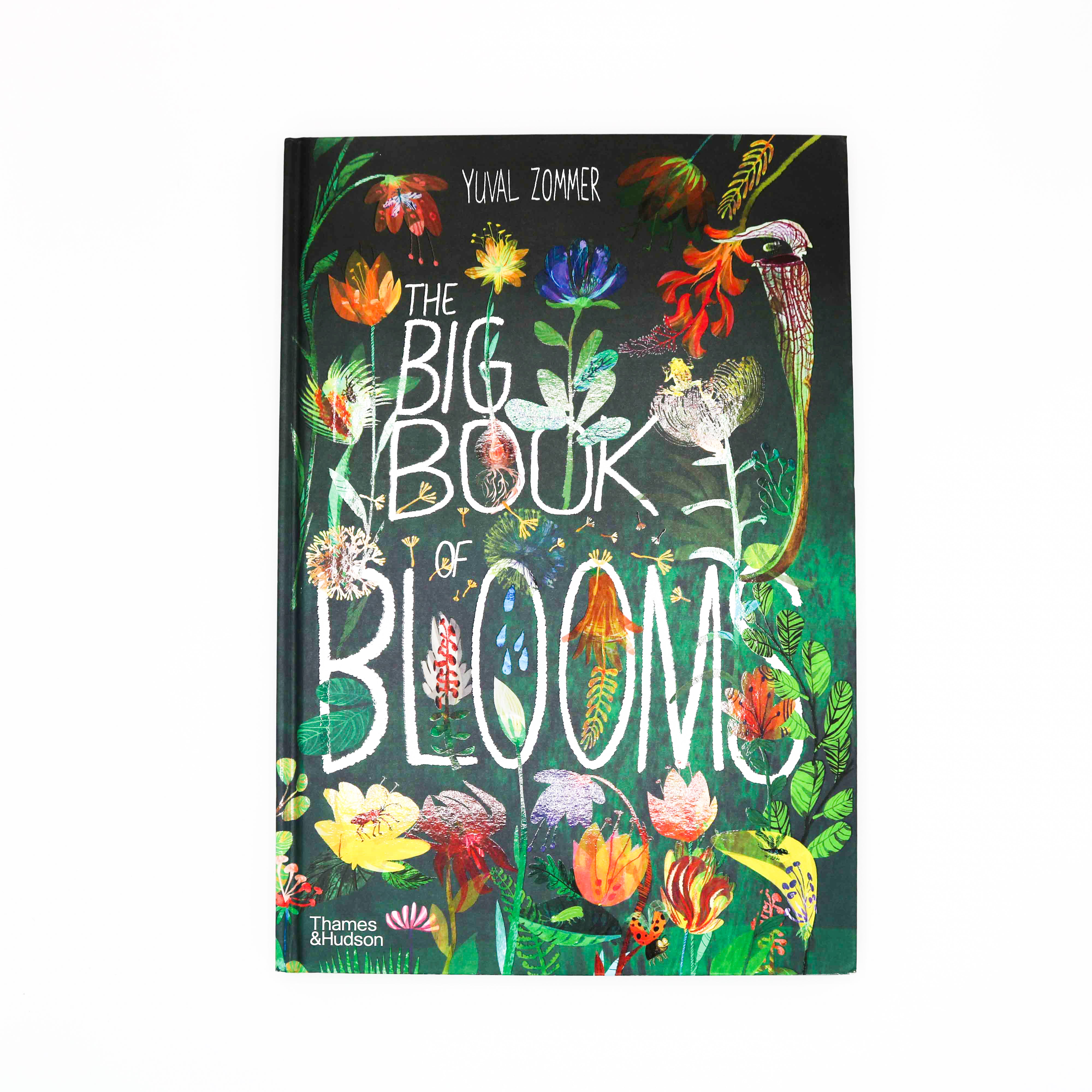 The Big Book of Blooms New Orleans Museum of Art Shop
